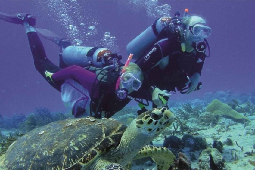 Picture 7 for Activity Alanya: Discover Scuba Diving Scuba Tour for Beginners