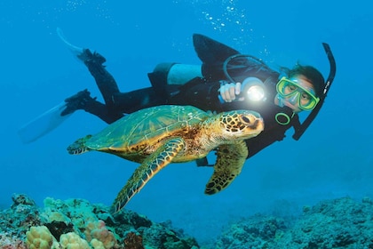 Alanya: Scuba Diving Adventure for Beginners & Professionals