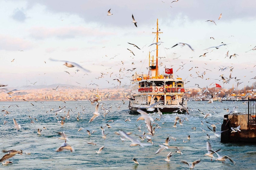 Istanbul: Princes' Islands Tour with Lunch and Transfers