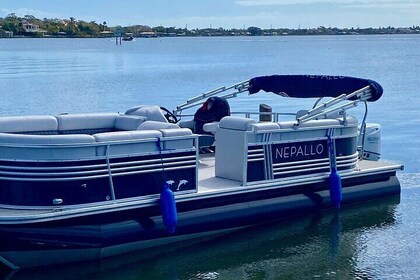 Dolphin and Manatee Intracoastal River Cruise Melbourne Fl