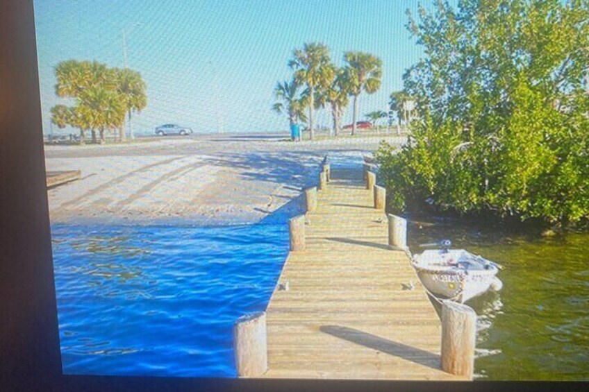 Dolphin and Manatee River Cruise Melbourne, Fl. 1030 