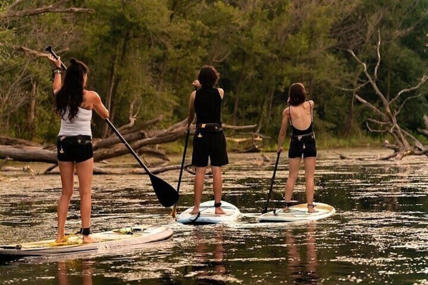 Group Intro to SUP in Toronto Island, Canada