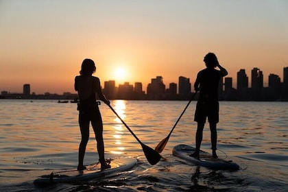 Group Intro to SUP in Toronto Island, Canada