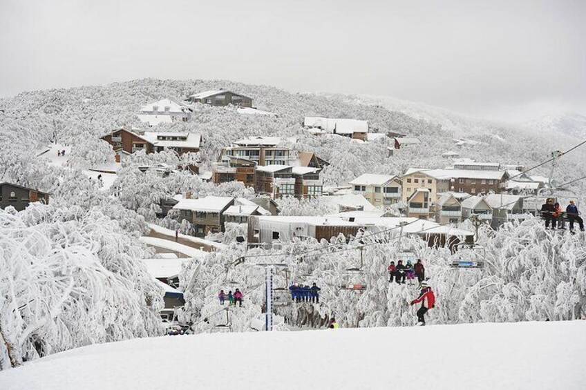 Mt Buller - Winter Ski Resort