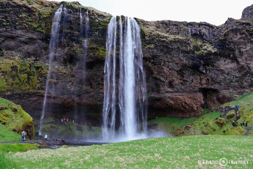 Westman Islands and South Coast Private Tour with PRO Photo.