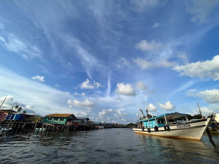 Fire Flies/Mangrove Cruise/Fishing Village Tour with Dinner Ticket