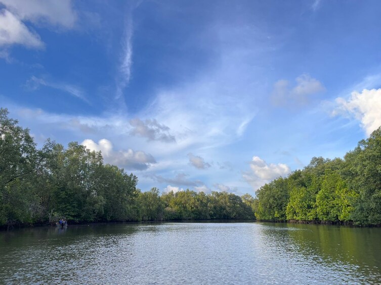 Fire Flies/Mangrove Cruise/Fishing Village Tour with Dinner Ticket