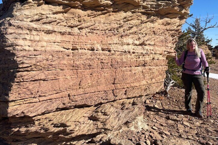 Stunning red rocks!