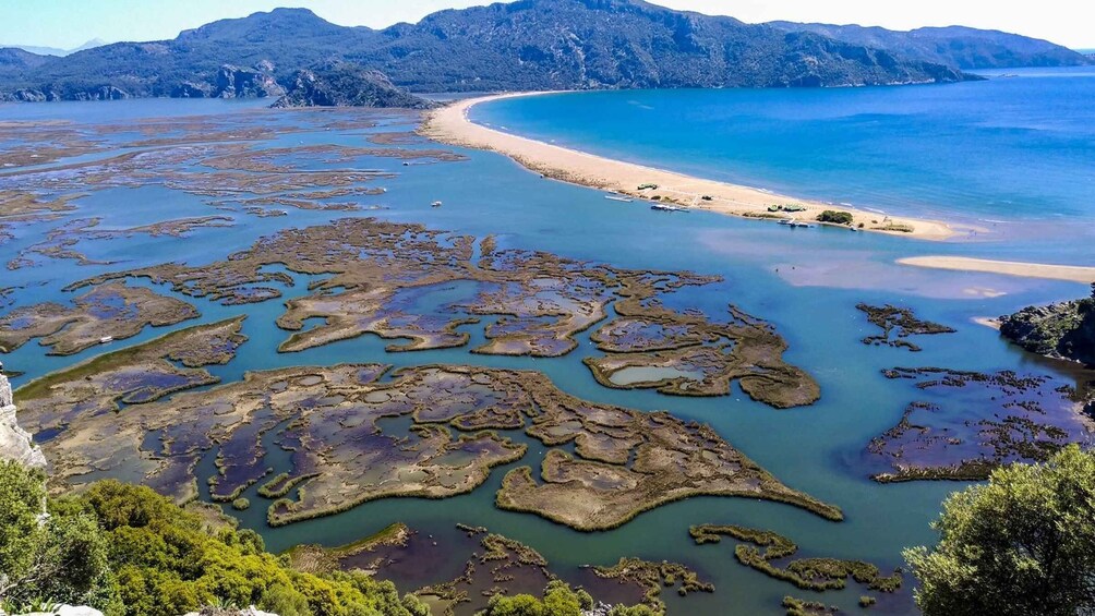 Picture 4 for Activity Sarigerme: Dalyan, Turtle Beach, Mud Bath, & King Tombs Tour