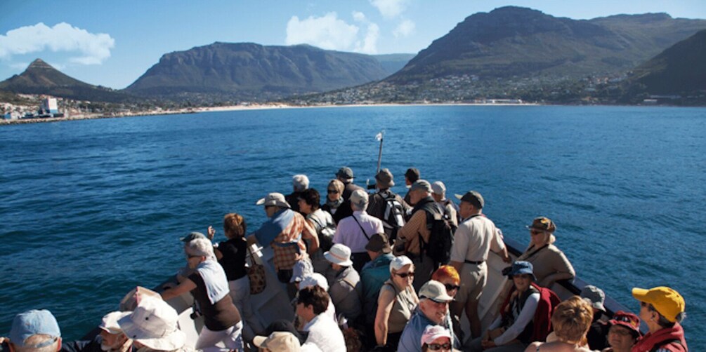 Picture 3 for Activity Hout Bay: Duiker Island Seal Colony Cruise