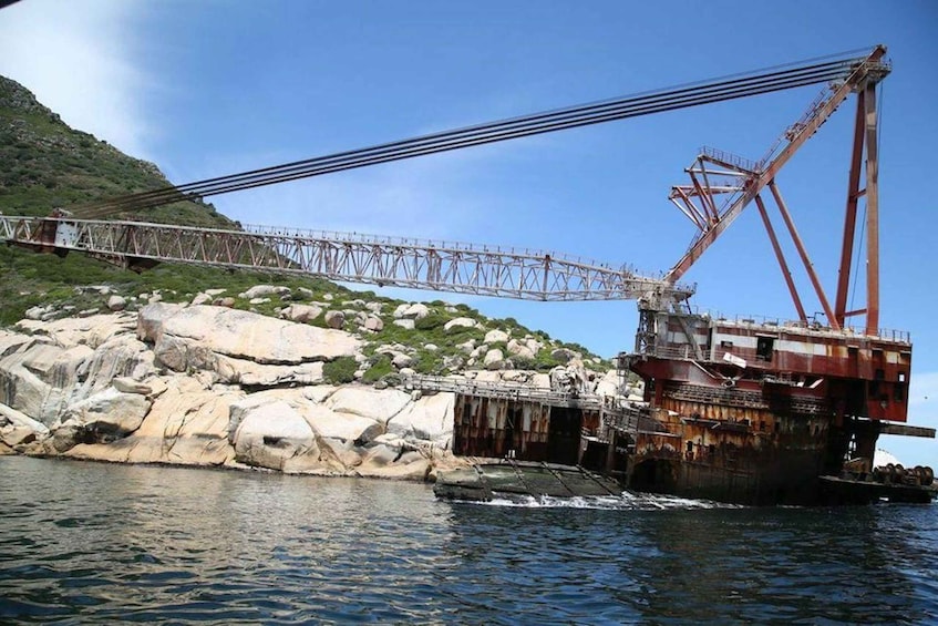 Picture 2 for Activity Hout Bay: Duiker Island Seal Colony Cruise