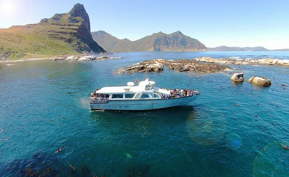 Picture 1 for Activity Hout Bay: Duiker Island Seal Colony Cruise