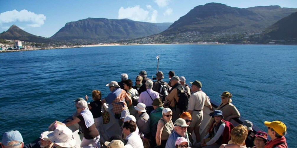 Picture 3 for Activity Hout Bay: Duiker Island Seal Colony Cruise