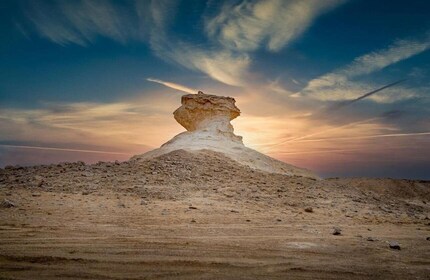 Doha: Westküsten-Katar-Tour, Skulpturen, Kamelrennbahn