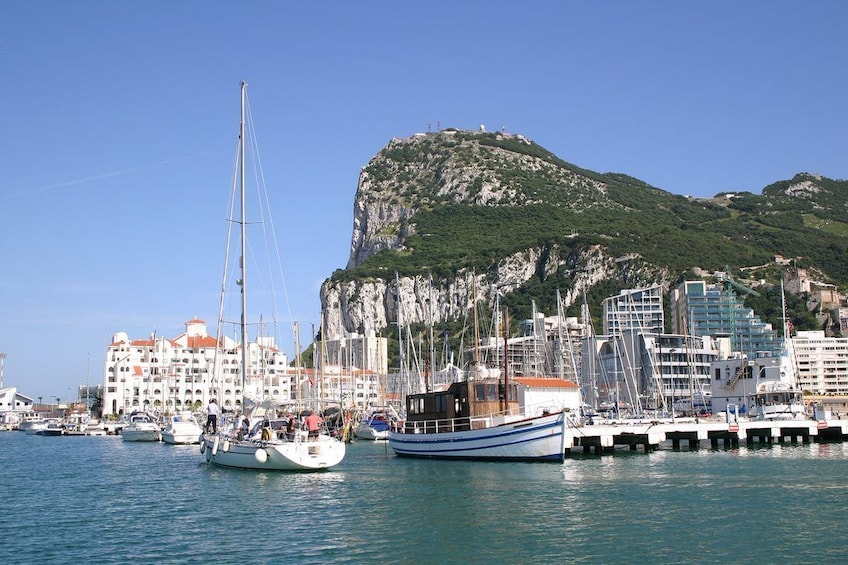 Gibraltar Dolphin-Watching Cruise - Full Day Tour