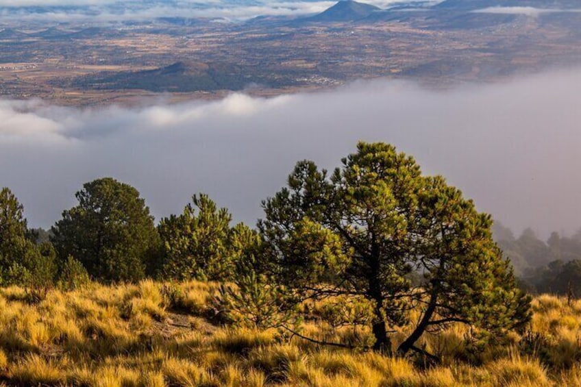 The forests of La Malinche Mountain.