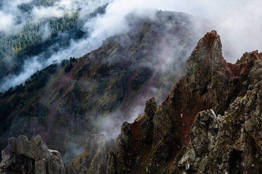 Misty day while climbing La Malinche Mountain.