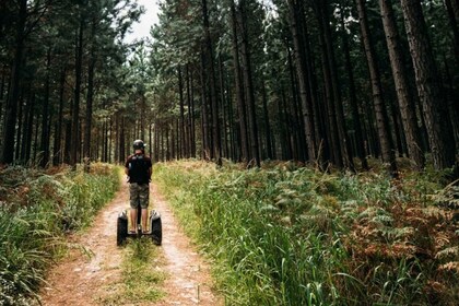 Tsitsikamma National Park: 1 or 2-Hour Segway Tour