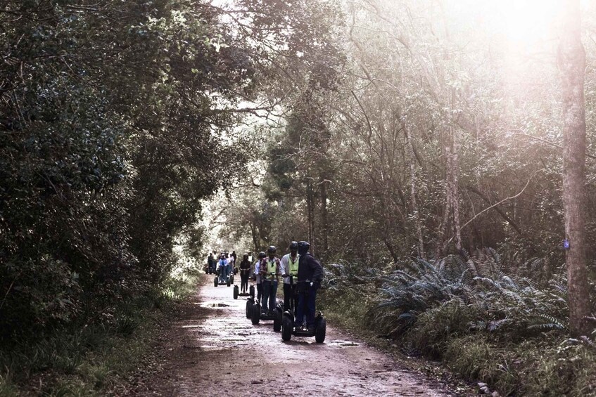 Picture 7 for Activity Tsitsikamma National Park: 1 or 2-Hour Segway Tour