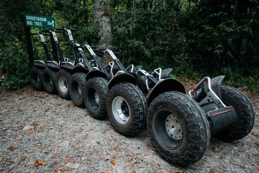 Picture 4 for Activity Tsitsikamma National Park: 1 or 2-Hour Segway Tour