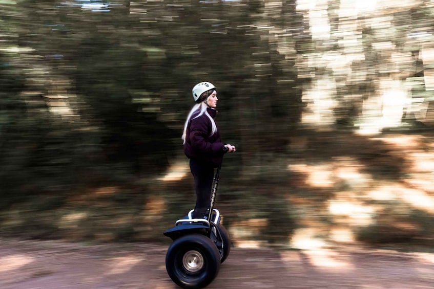 Picture 9 for Activity Tsitsikamma National Park: 1 or 2-Hour Segway Tour