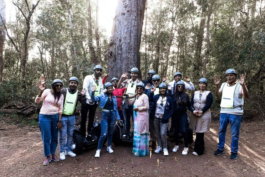 Picture 1 for Activity Tsitsikamma National Park: 1 or 2-Hour Segway Tour