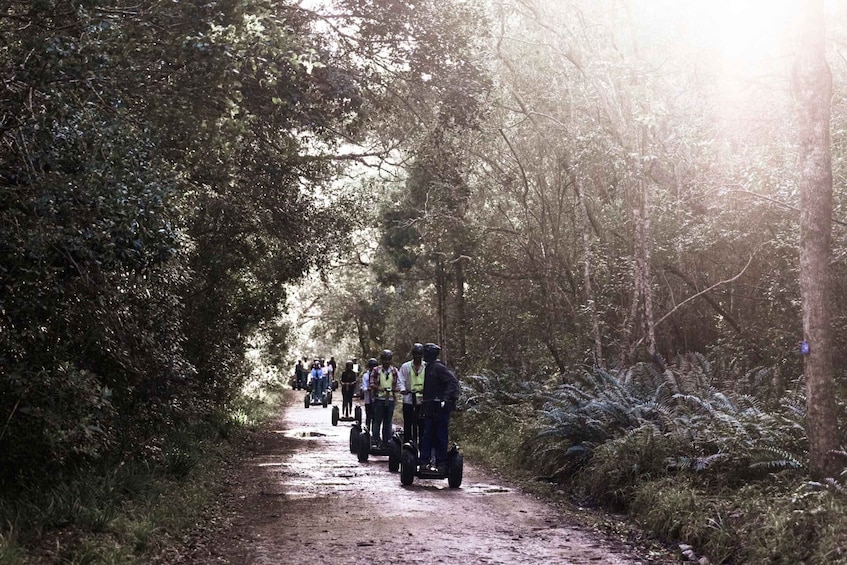 Picture 10 for Activity Tsitsikamma National Park: 1 or 2-Hour Segway Tour