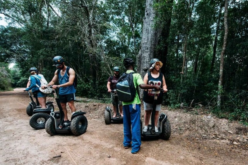 Picture 1 for Activity Tsitsikamma National Park: 1 or 2-Hour Segway Tour