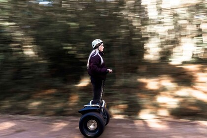 Tsitsikamma National Park: 1 oder 2-stündige Segway-Tour