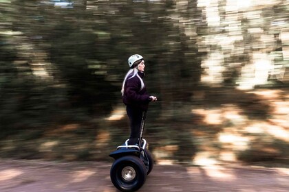 Parque Nacional de Tsitsikamma: Excursión en Segway de 1 ó 2 horas