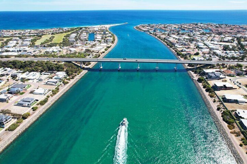 Giant and Dolphin Sightseeing Cruise in Mandurah