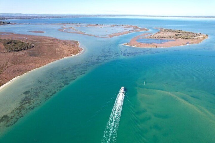 Giant and Dolphin Sightseeing Cruise in Mandurah