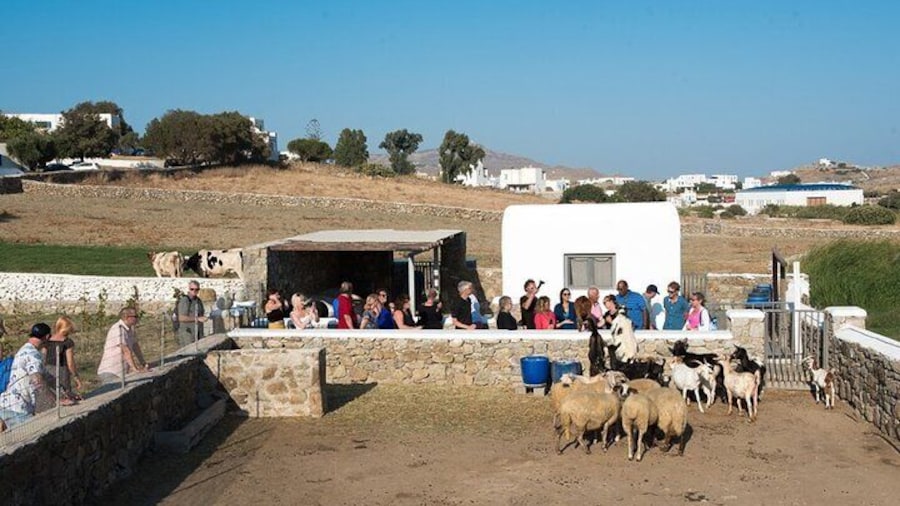 Mykonian Farm Entrance Ticket