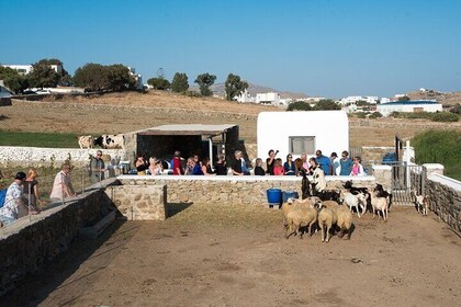 Mykonian Farm Entrance Ticket