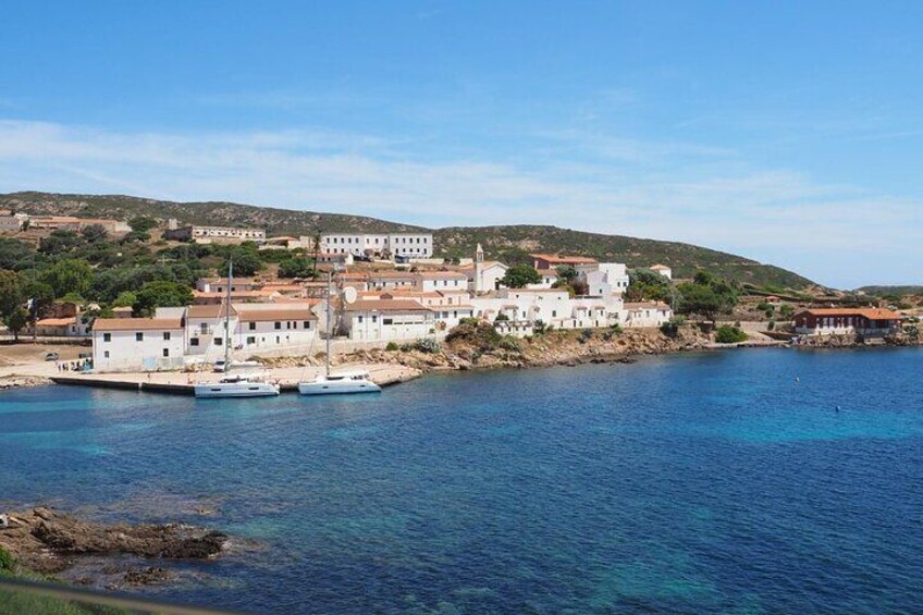 Asinara National Park Full Day 4x4 tour