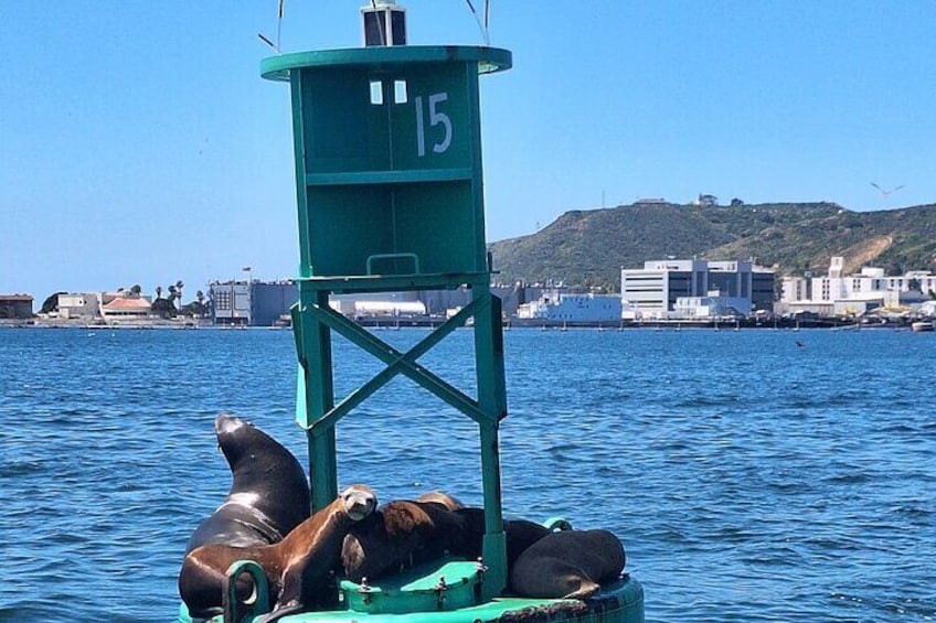 Tiki Live! - Two hour Tropical Tiki Tour on San Diego Bay!