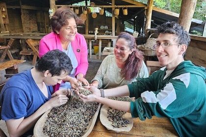 Ancestral Coffee Experience in Boquete