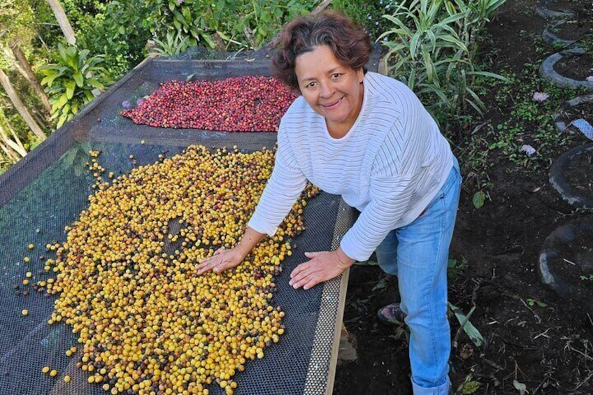 Ancestral Coffee Experience in Boquete