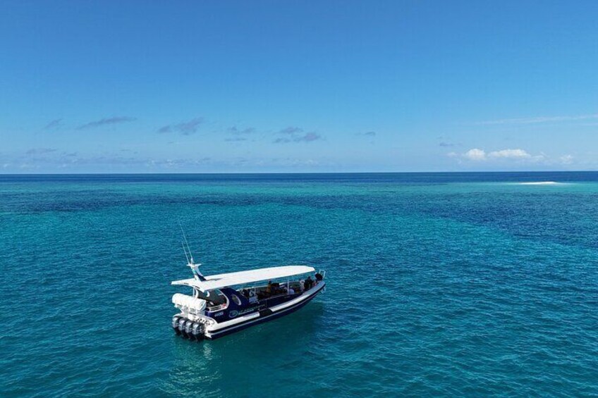 Half Day Snorkel Tour in Great Barrier Reef 