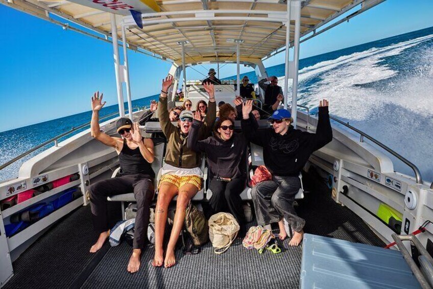 Half Day Snorkel Tour in Great Barrier Reef 