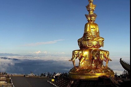 Panda, Leshan, and Emei Mountain 2-day tour