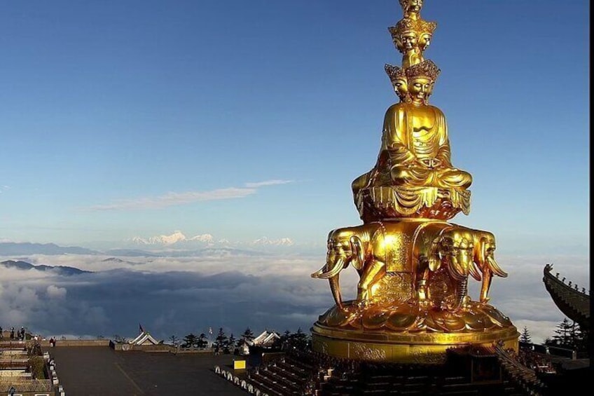 Panda, Leshan, and Emei Mountain 2-day tour