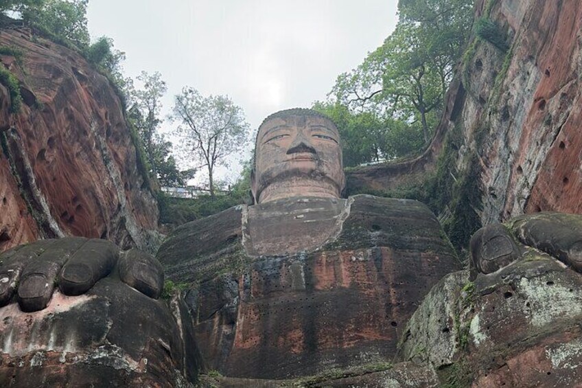 Two day Tour of Leshan Giant Buddha Scenic Area and Mount Emei