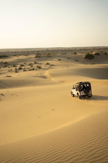 Picture 15 for Activity Jaisalmer: Romantic Night with Luxury Desert Camping