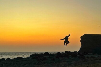 Private Tour at The National Reserve of Paracas