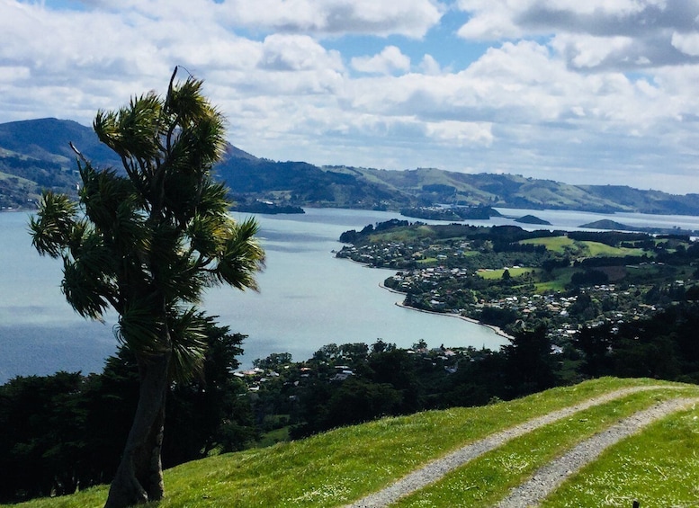 Picture 7 for Activity Dunedin: Peninsula with Lanarch Castle gardens & Olveston