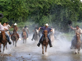 Horseback Ride & Zip Line Adventure Combo Tour