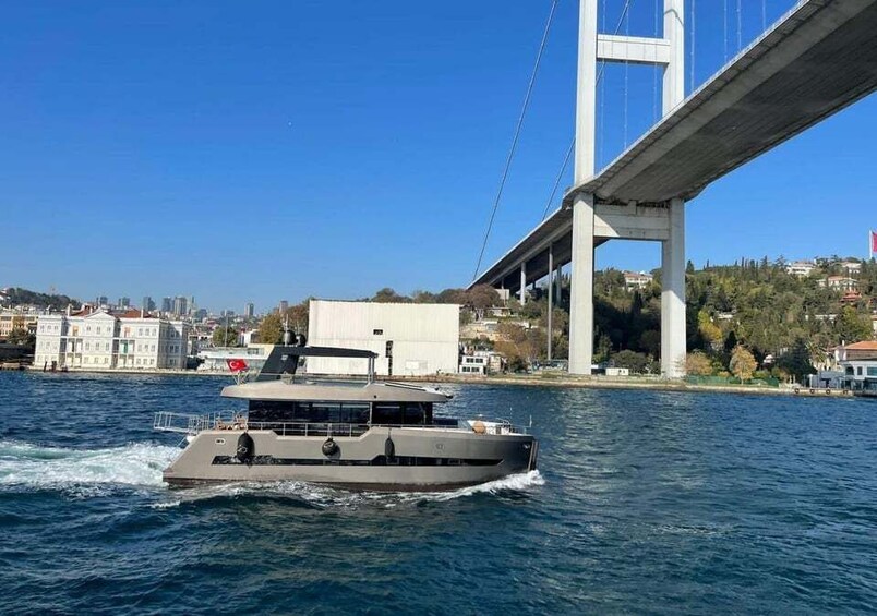 Picture 4 for Activity İstanbul: Private Bosphorus Tour On Catamaran