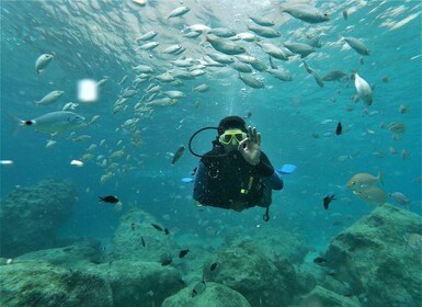 Antalya and Kemer: Full Day Scuba Diving Tour with Lunch