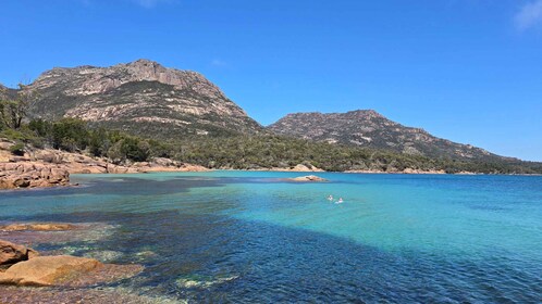 Tasmanien: 5-tägige Highlights-Tour mit Cradle Mountain